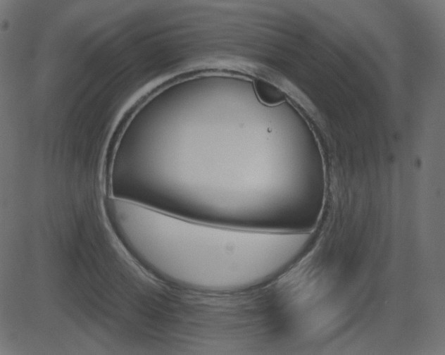 X0000081621028200701151049