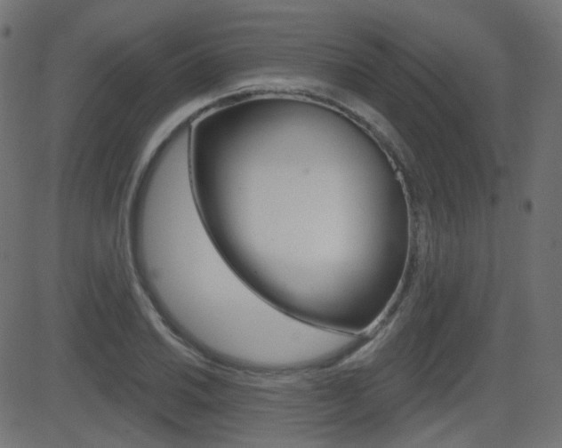 X0000081621030200701151049