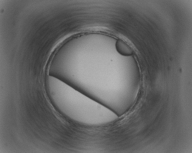 X0000081621031200701151049