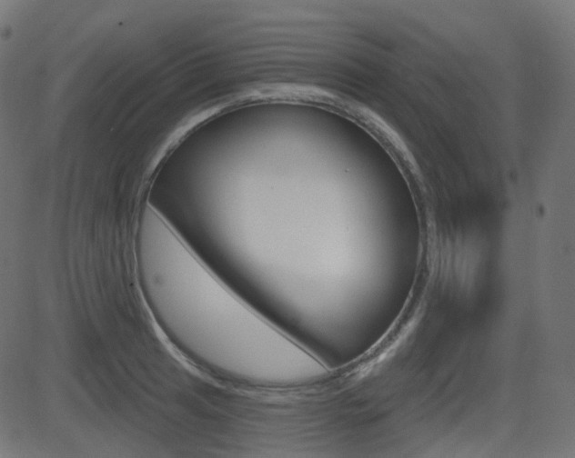 X0000081621041200701151050