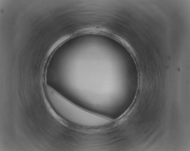 X0000081621042200701151050