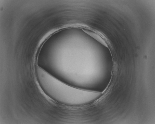 X0000081621046200701151050