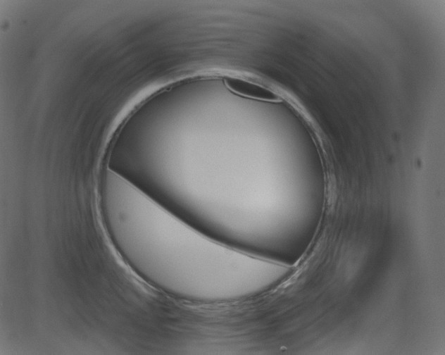 X0000081621048200701151050