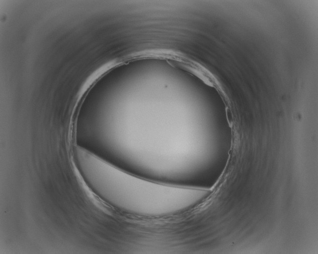X0000081621050200701151050