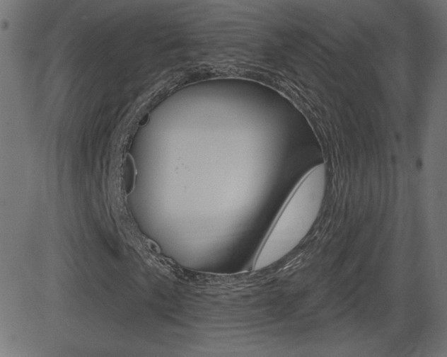 X0000081621057200701151049