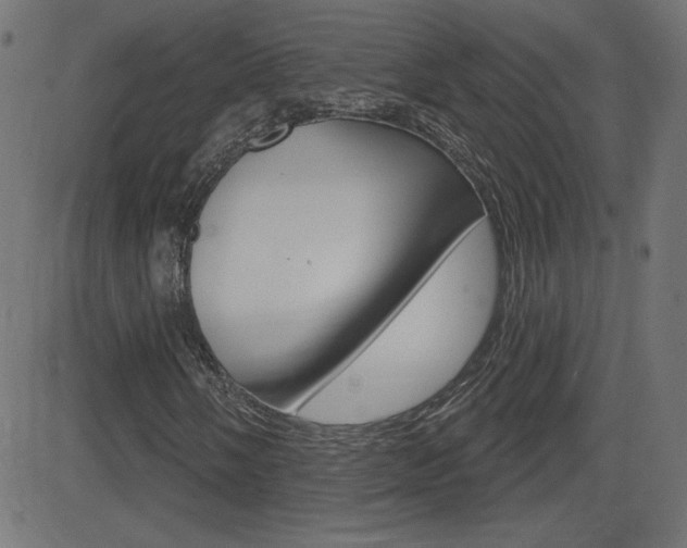 X0000081621058200701151049