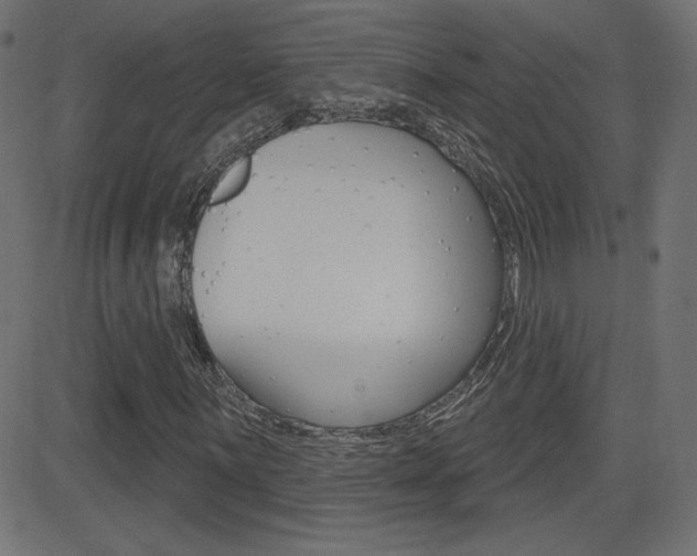 X0000081621059200701151049