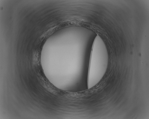 X0000081621060200701151049