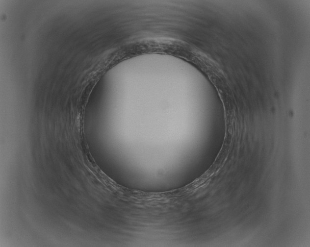 X0000081621061200701151049