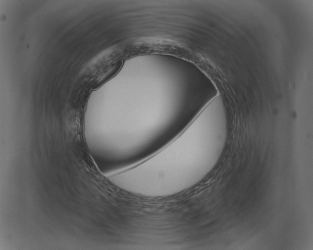X0000081621062200701151049