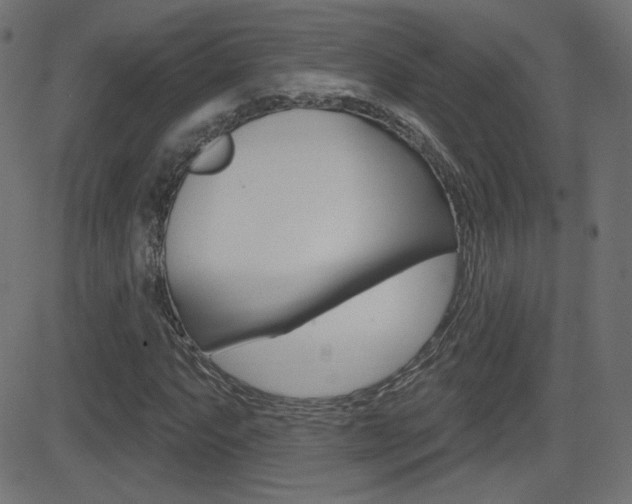 X0000081621063200701151049