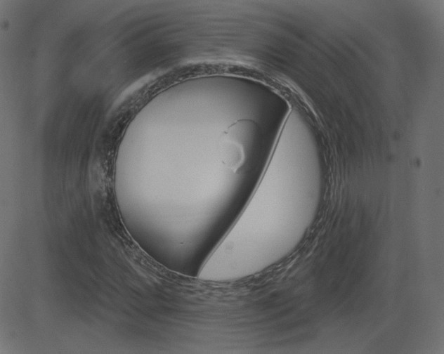 X0000081621064200701151049
