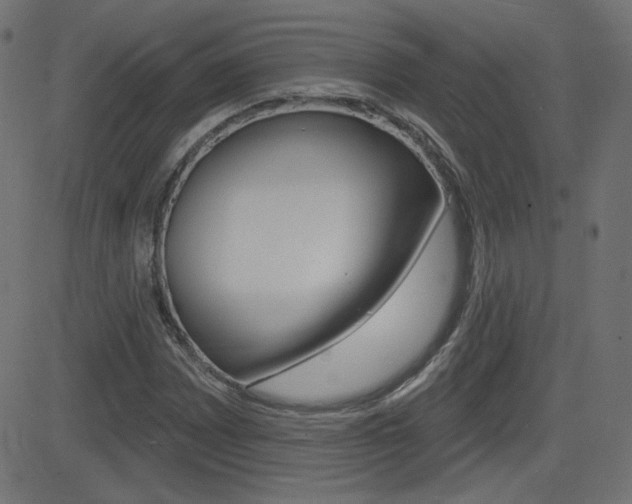 X0000081621065200701151049