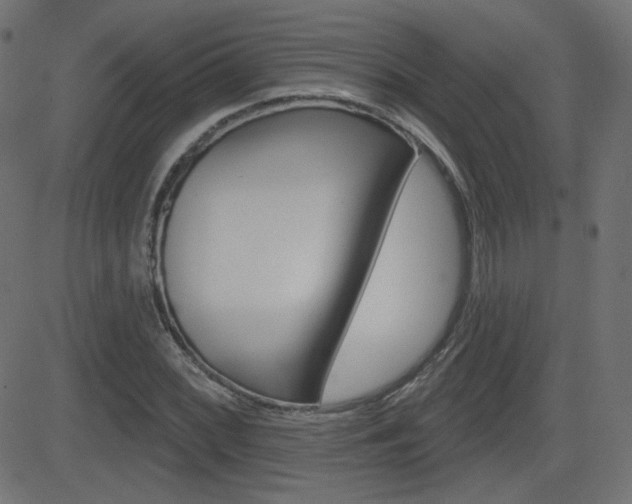 X0000081621068200701151049