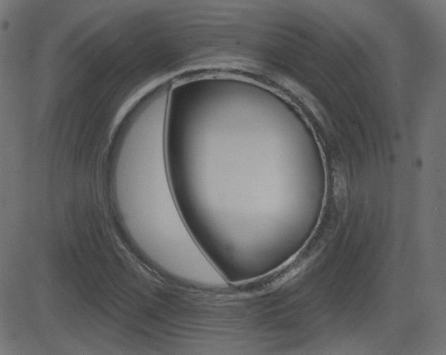 X0000081621069200701151049