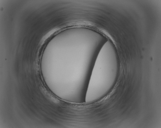 X0000081621071200701151049
