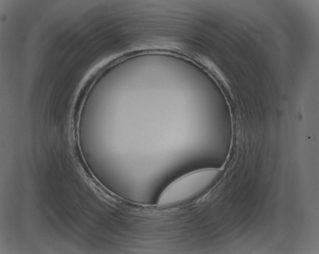 X0000081621072200701151049