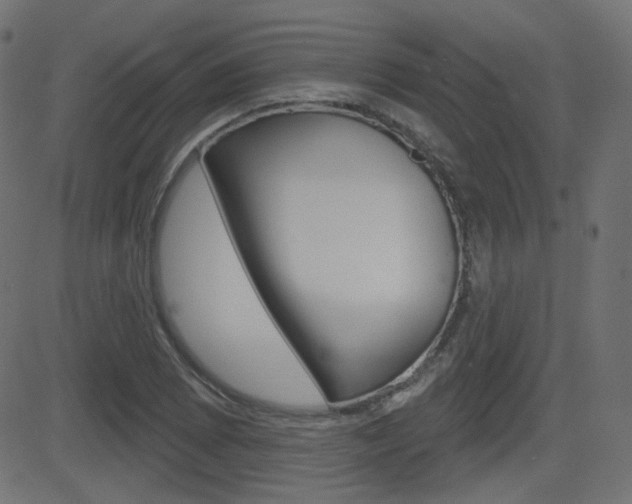 X0000081621073200701151049