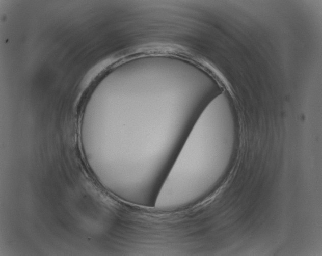 X0000081621075200701151049