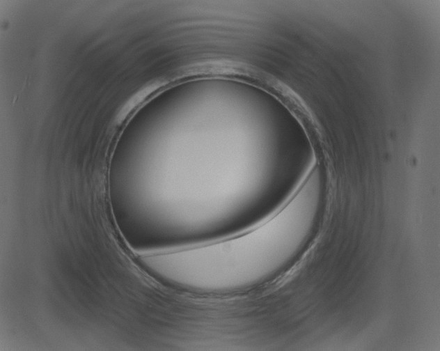 X0000081621081200701151049