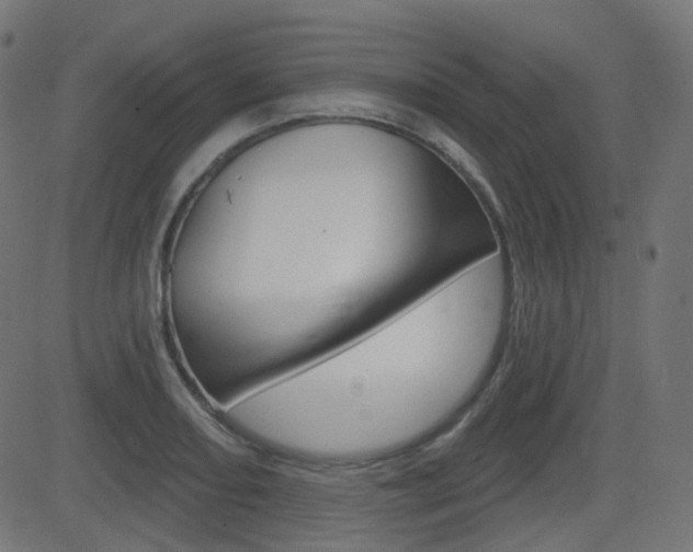 X0000081621082200701151049