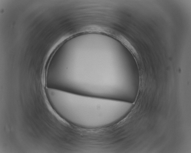 X0000081621084200701151049
