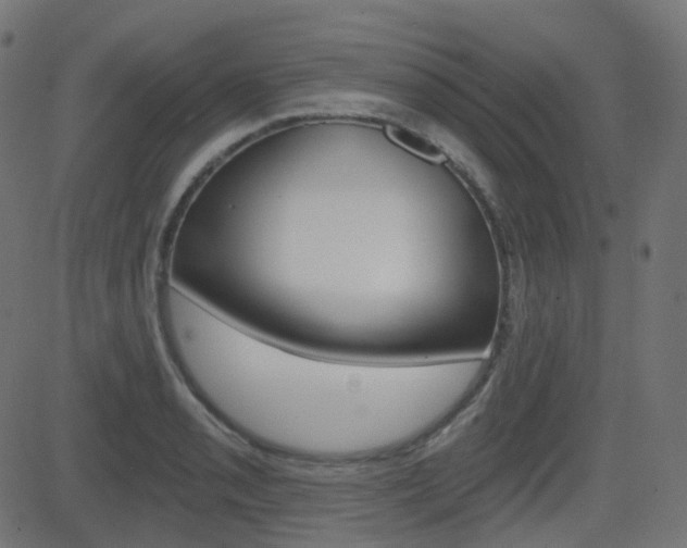 X0000081621085200701151049
