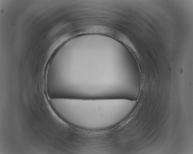 X0000081621087200701151049