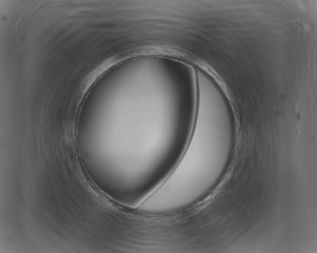 X0000081621089200701151048