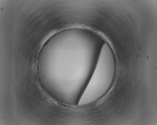 X0000081621097200701151048