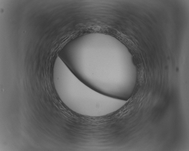 X0000081621105200701151047