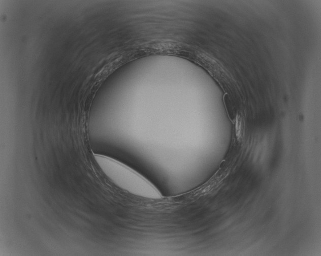 X0000081621107200701151047