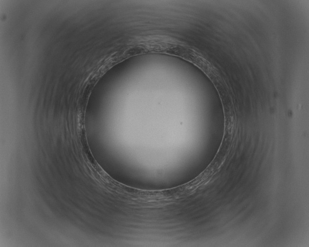X0000081621108200701151047