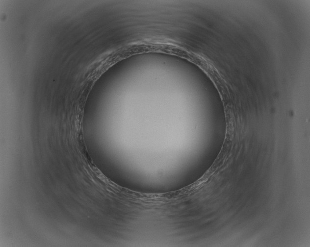 X0000081621110200701151048