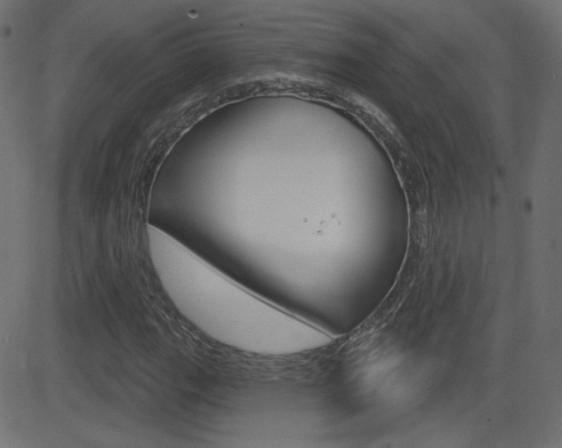 X0000081621111200701151048