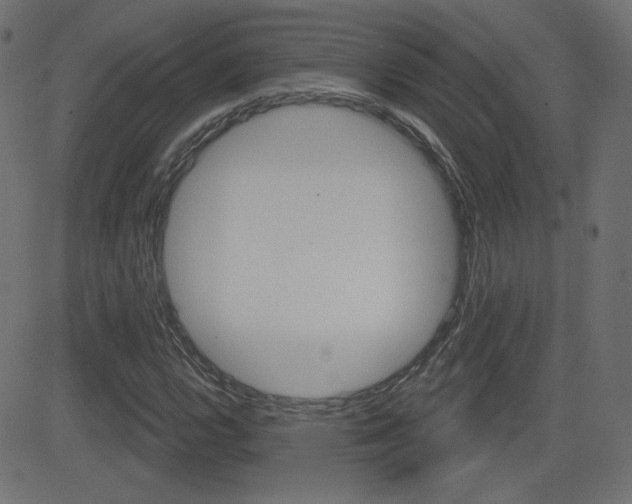 X0000081621112200701151048