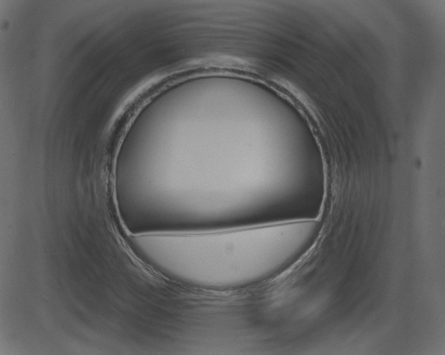 X0000081621115200701151048