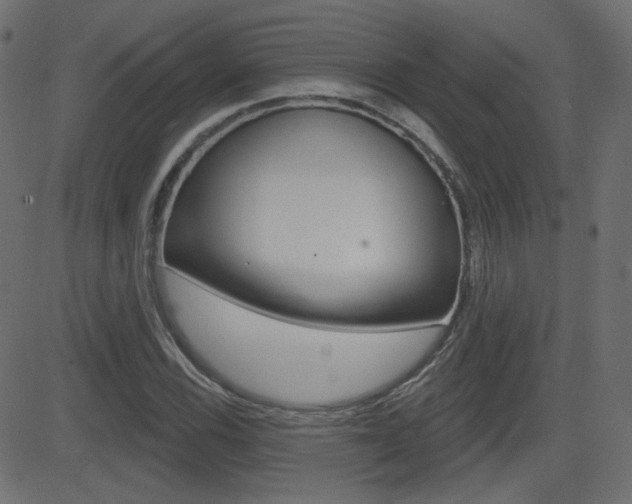 X0000081621116200701151048