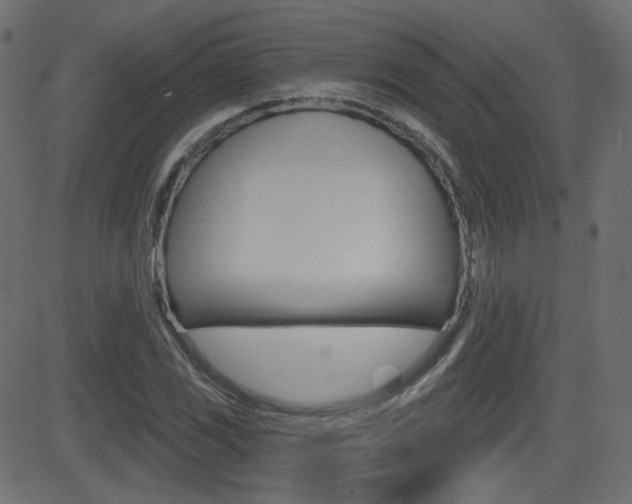 X0000081621117200701151048