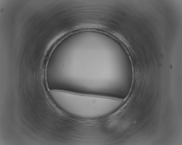 X0000081621119200701151048