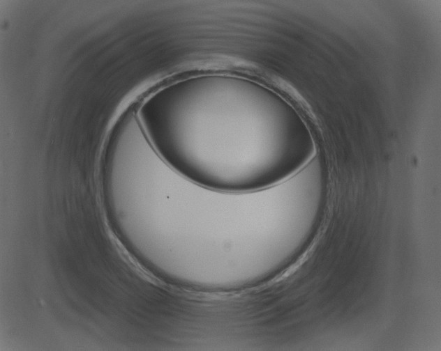 X0000081621122200701151048