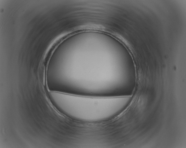 X0000081621123200701151048