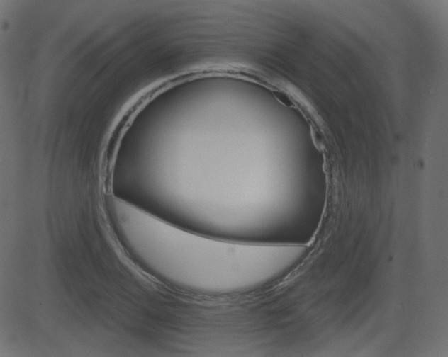 X0000081621124200701151048