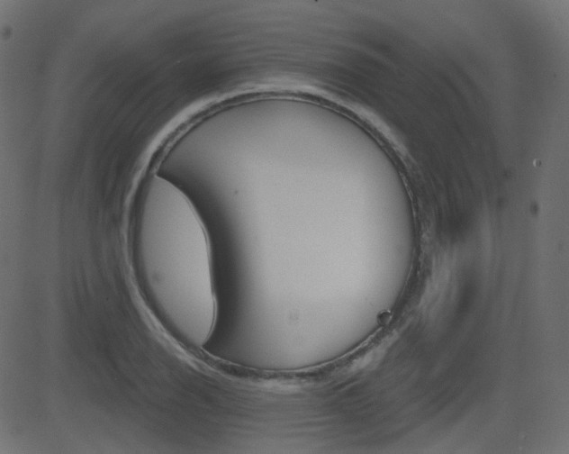 X0000081621126200701151048
