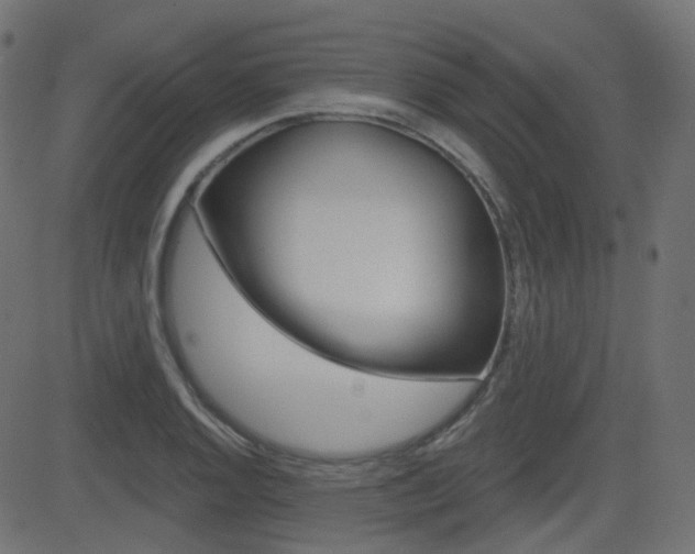 X0000081621128200701151048