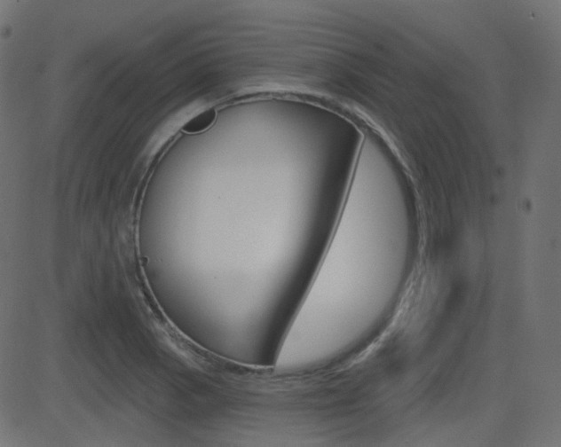 X0000081621129200701151048