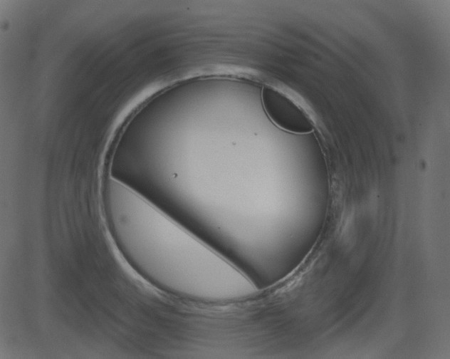 X0000081621135200701151048