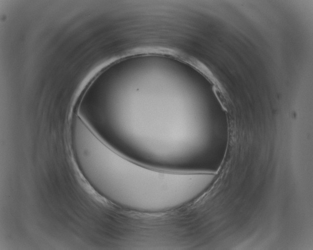 X0000081621140200701151048