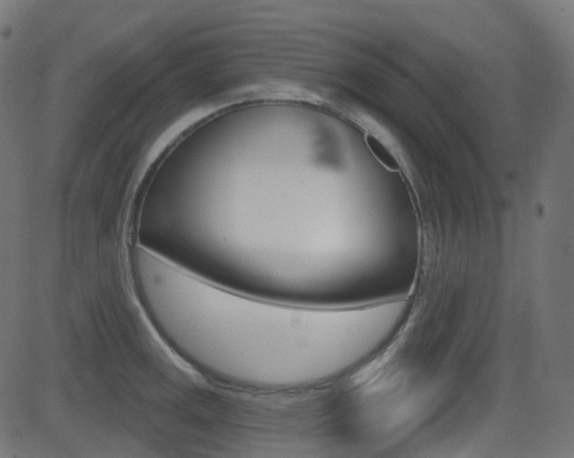 X0000081621141200701151048