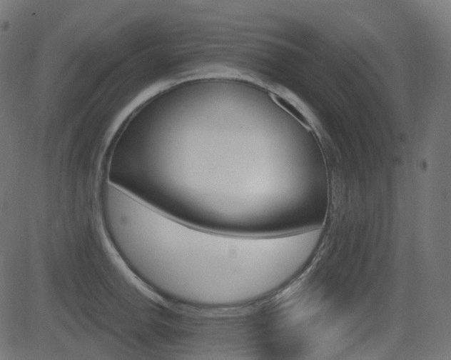 X0000081621142200701151048
